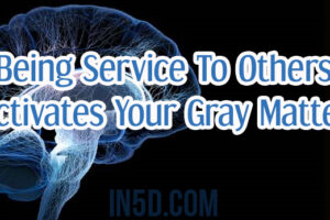 Being Service to Others Activates Your Gray Matter