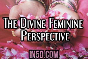 The Divine Feminine Perspective