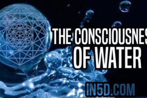 The Consciousness Of Water