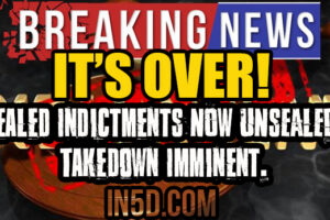 David Seaman: Sealed Indictments NOW UNSEALED, Takedown Imminent. It’s OVER!
