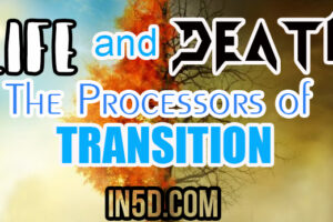 Life and Death – The Processors of Transition