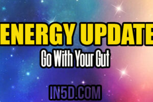 Energy Update – Go With Your Gut