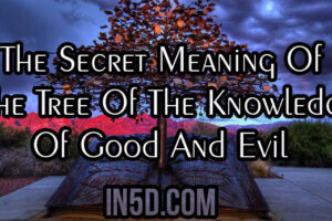 The Secret Meaning Of The Tree Of The Knowledge Of Good And Evil