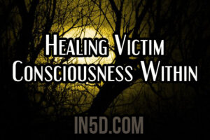 Healing Victim Consciousness Within