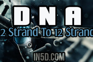 DNA: 2 Strand To 12 Strand. Where Do You Stand?