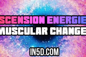 Ascension Energies – Muscular Changes