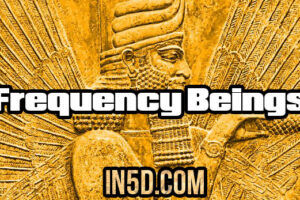 Frequency Beings – Elohim Or Illojim?