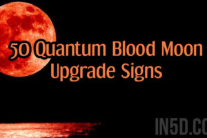 50 Quantum Blood Moon Upgrade Signs