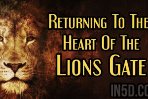 Returning To The Heart Of The Lions Gate