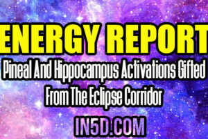 Energy Report – Pineal And Hippocampus Activations Gifted From The Eclipse Corridor