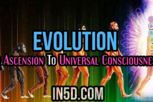 Evolution: An Ascension To Universal Consciousness