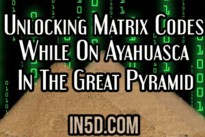 Unlocking Matrix Codes While On Ayahuasca In The Great Pyramid