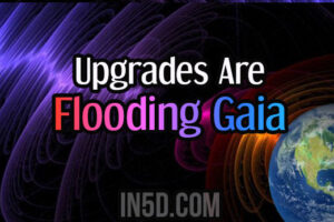 Upgrades Are Flooding Gaia