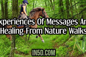 Experiences Of Messages And Healing From Nature Walks