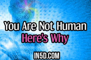 You Are Not Human. Here’s Why