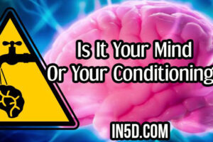 Is It Your Mind Or Your Conditioning?