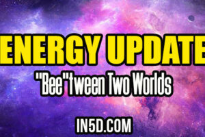Energy Update – “Bee”tween Two Worlds
