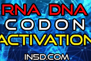 1 Hour DNA RNA Codon Activation Mantra