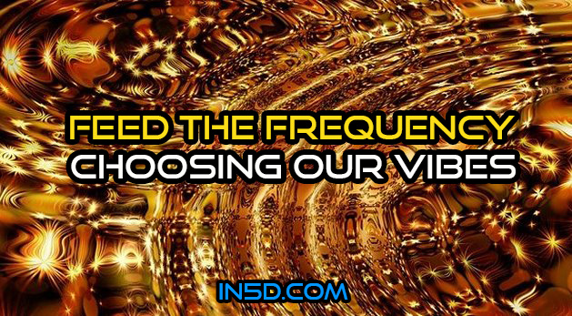 Feed the Frequency – Choosing our Vibes