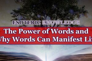 The Power of Words and Why Words Can Manifest Life