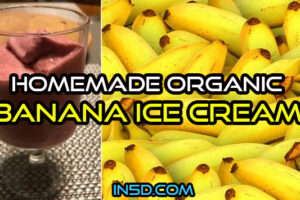 Homemade Organic Banana Ice Cream