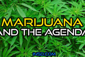 Marijuana And The Agenda