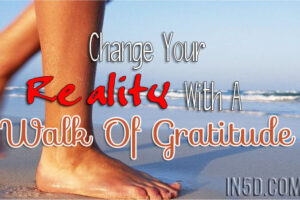 Change Your Reality With A Walk Of Gratitude