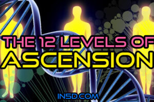 The 12 Levels of Ascension