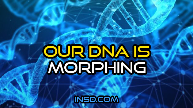 Our DNA Is Morphing