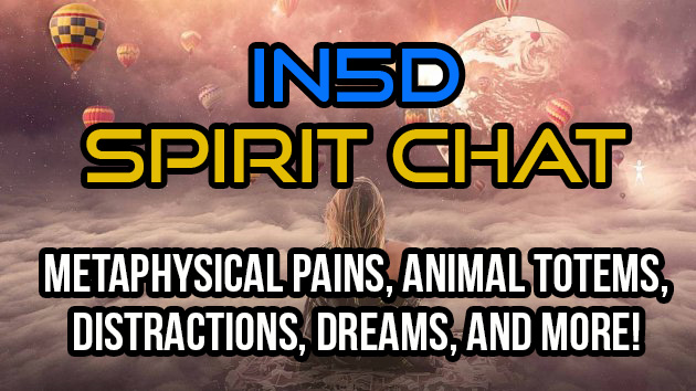 In5D Spirit Chat Metaphysical Pains, Animal Totems, Distractions, Dreams, And More!