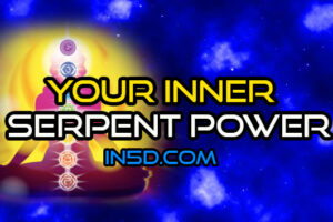 Your Inner Serpent Power