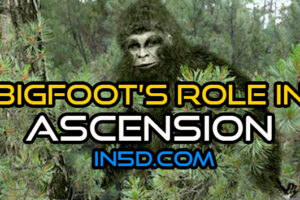 Bigfoot’s Surprising Role In Ascension
