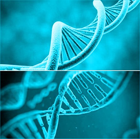 Our DNA is being activated meaning, those two biological strands of DNA (in 1st photo) are starting to talk to those 10 strands of DNA that spiral and intertwine up thru them.