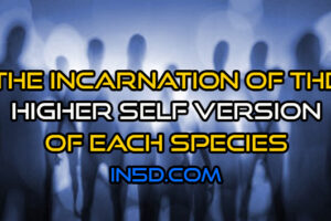 The Incarnation Of The Higher Self Version Of Each Species