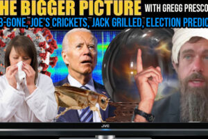 THE BIGGER PICTURE WITH GREGG PRESCOTT – FLU B GONE, JOE’S CRICKETS, JACK, ELECTION PREDICTION