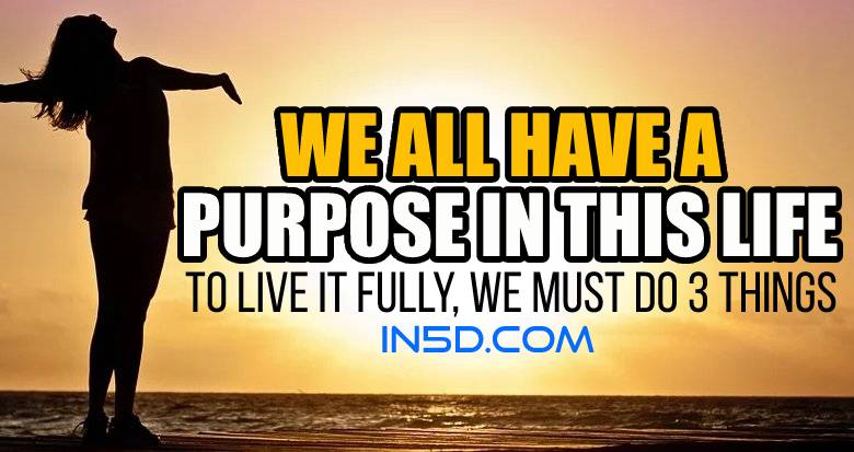 We All Have A Purpose In This Life