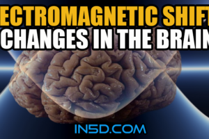 Electromagnetic Shifts – Changes in the Brain