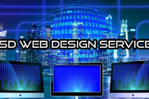 In5D Website Services