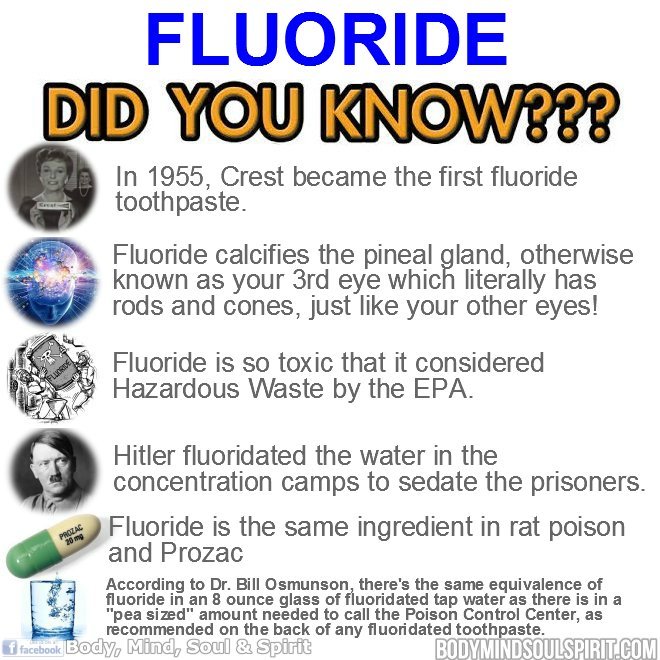 A Fluoride-Free Pineal Gland is More Important than Ever | in5d.com | Esoteric, Spiritual and Metaphysical Database
