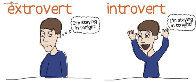 Are You An Introvert or Extrovert? | in5d.com