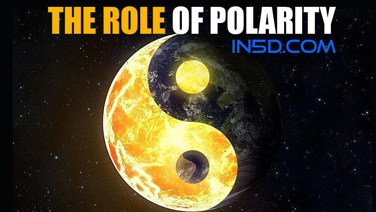 The Role Of Polarity
