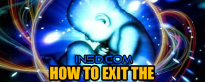 How To Exit The Reincarnation System