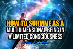 How To Survive As A Multidimensional Being In A Limited Consciousness