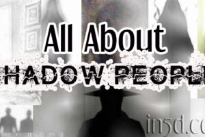 All About Shadow People