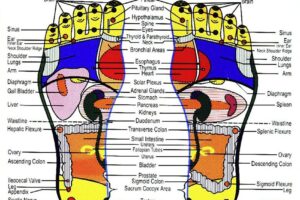 Foot Reflexology – An Easy to Follow Step-by-Step Guide