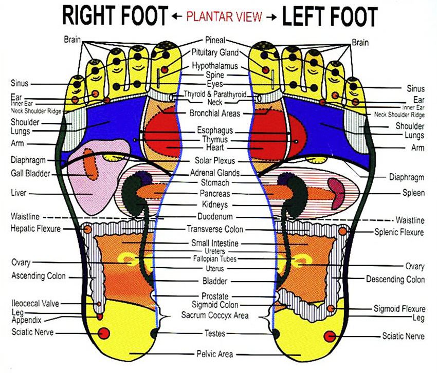 Foot Reflexology - An Easy to Follow Step-by-Step Guide 