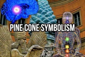 Pine Cone Symbolism