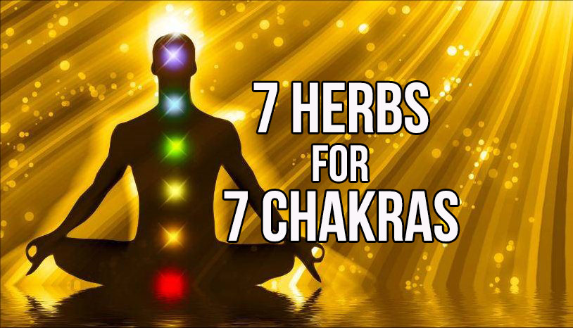 7 Herbs For 7 Chakras