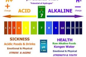 List of Alkaline Foods – The pH Balanced Diet