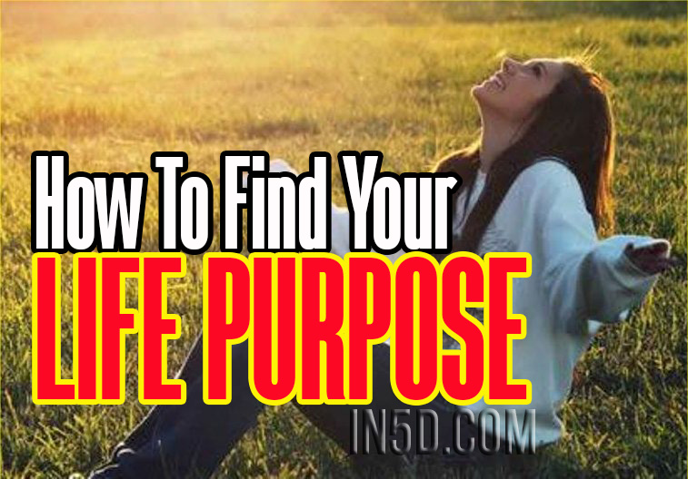 How To Find Your Life Purpose